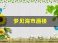 梦见海市蜃楼(梦见海市蜃楼还拍照了)