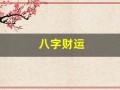 八字财运(八字财运怎么看)