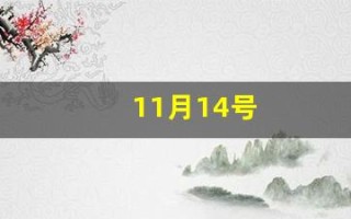 11月14号(11月14号是什么星座)