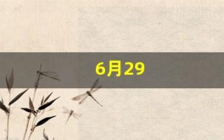 6月29(6月29日到今天一共多少天)