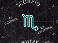 11月19日是什么星座(10月19日是什么星座)