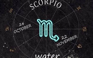 11月19日是什么星座(10月19日是什么星座)