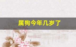 属狗今年几岁了(属狗今年几岁了2024)