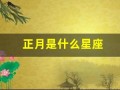 正月是什么星座(正月十二是什么星座)