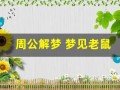 周公解梦 梦见老鼠(周公解梦梦见老鼠咬自己是什么意思)