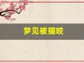 梦见被猫咬(梦见被猫咬了是什么预兆)