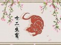 2022年属鼠人的全年运势(2022年属鼠人全年运势1984)