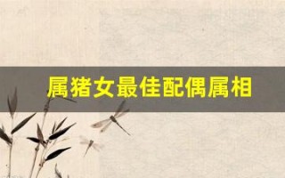 属猪女最佳配偶属相(女属猪的最佳配偶)