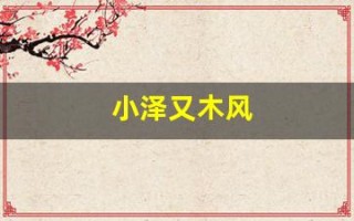 小泽又木风(小则又沐风是谁)