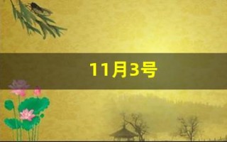 11月3号(11月3号是什么星座)