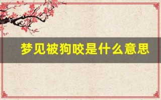 梦见被狗咬是什么意思(男人梦见狗咬自己财运怎么样)