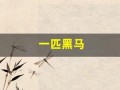 一匹黑马(中海达股票未来会是一匹黑马)