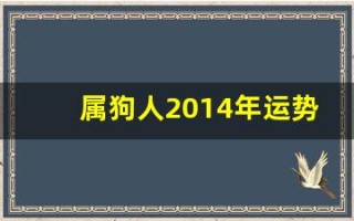 属狗人2014年运势(属狗人2025年运势完整版)