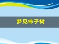 梦见柿子树(梦见柿子树上挂满了红红的柿子)