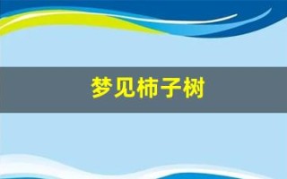 梦见柿子树(梦见柿子树上挂满了红红的柿子)