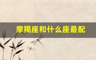 摩羯座和什么座最配(摩羯座是土象还是水象)
