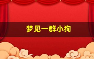 梦见一群小狗(梦见一群小狗咬我是什么意思)