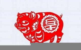 85年属什么(85年属什么生肖的多大年龄)