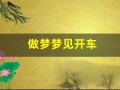 做梦梦见开车(做梦梦见开车车翻了)
