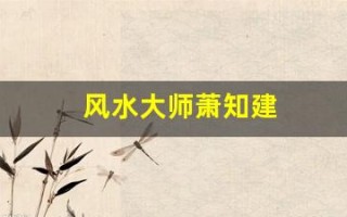 风水大师萧知建(风水大师看房子的风水哪些方面)