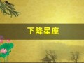 下降星座(下降星座怎么看)