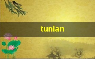 tunian(兔年是202几年)