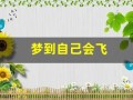 梦到自己会飞(梦见自己会飞还控制得很好)