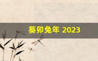葵卯兔年 2023(葵卯兔年是哪一年)
