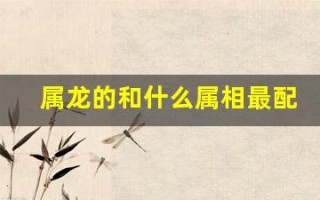 属龙的和什么属相最配(男生属龙的和什么属相最配)