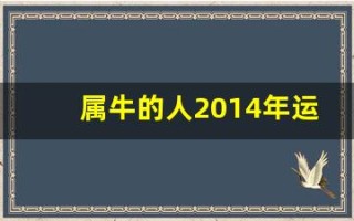 属牛的人2014年运程(属牛2024年运势及运程每月运程大家找算命网)