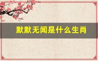 默默无闻是什么生肖(默默无闻是什么生肖呢)