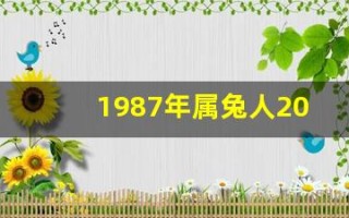 1987年属兔人2023年全年运势(1987年属兔2025年的运势及运程)