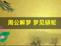 周公解梦 梦见蟒蛇(周公解梦梦见蟒蛇咬我)