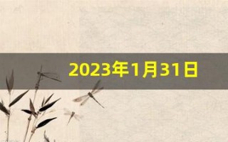 2023年1月31日黄道吉日查询(2023年11月13日五行缺什么)