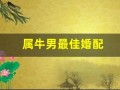 属牛男最佳婚配(属牛男最佳婚配属相排名表)