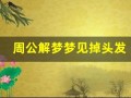周公解梦梦见掉头发(周公解梦梦见掉头发什么预兆)