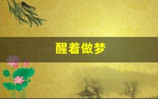 醒着做梦(意识清醒但是又在做梦)