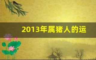 2013年属猪人的运势(2013年属猪人的运势及运程)