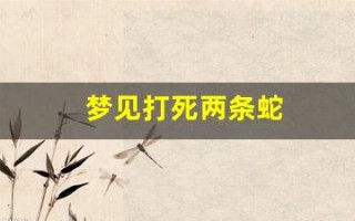 梦见打死两条蛇(梦见把蛇切成一截一截)