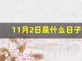11月2日是什么日子(11月2日是什么日子是什么生肖日)