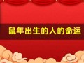 鼠年出生的人的命运(鼠年出生的人的命运84年)