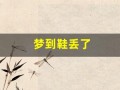 梦到鞋丢了(梦到鞋丢了是什么征兆)