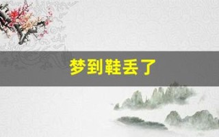 梦到鞋丢了(梦到鞋丢了是什么征兆)