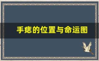 手痣的位置与命运图(面相痣的位置与命运图解)