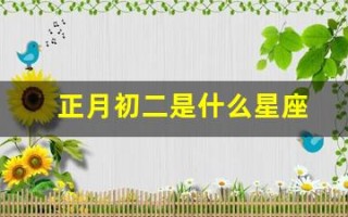 正月初二是什么星座(1982年正月初二是什么星座)