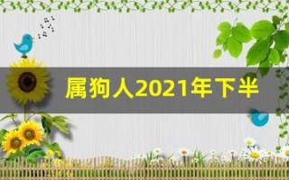 属狗人2021年下半年运势及运程(属狗人2024年全年运势运程)