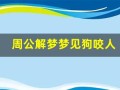 周公解梦梦见狗咬人(周公解梦梦见狗咬人的预兆)