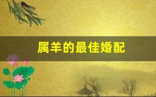 属羊的最佳婚配(属羊女的最佳婚配)