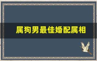 属狗男最佳婚配属相(属狗男和属蛇女的婚姻如何)