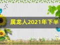 属龙人2021年下半年运势及运程(属龙人2021年下半年运势及运程卜易居)